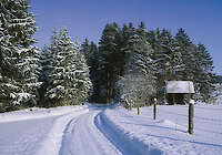 Langlaufen im Bayerischen Wald